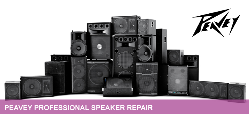 peavey professional speaker repair